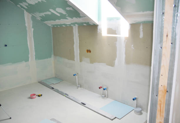 Best Commercial Mold Inspection  in Hoopeston, IL