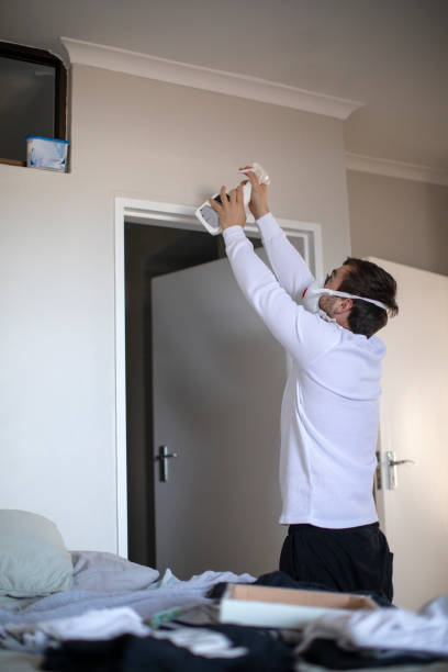 Best Mold Removal for HVAC Installations  in Hoopeston, IL