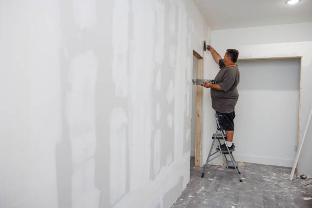  Hoopeston, IL Mold Removal Pros