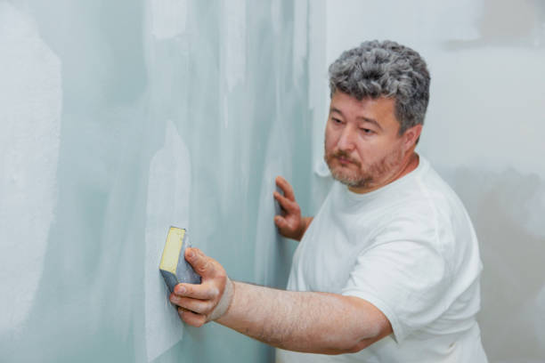Best Crawl Space Mold Remediation  in Hoopeston, IL