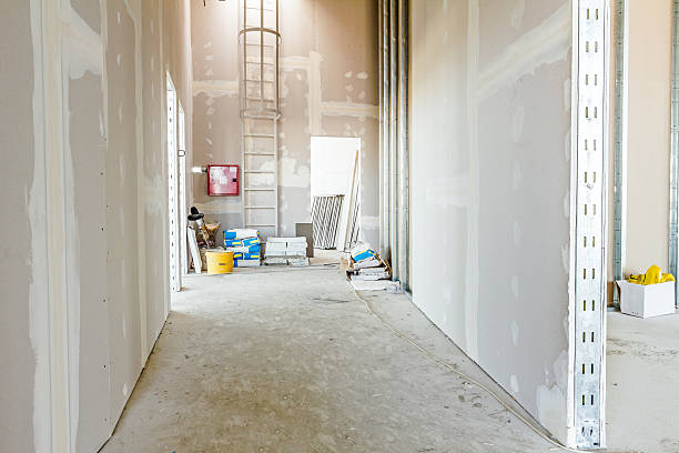 Best Post-Remediation Verification Testing  in Hoopeston, IL
